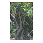 Hunting Sasquatch Poster in Forest Scene product type