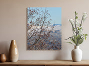 b27c9cfe-308b-4a4f-8274-189db1111c4e