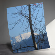 b2c3006e-b516-46fa-aaf4-01a07459d1fa