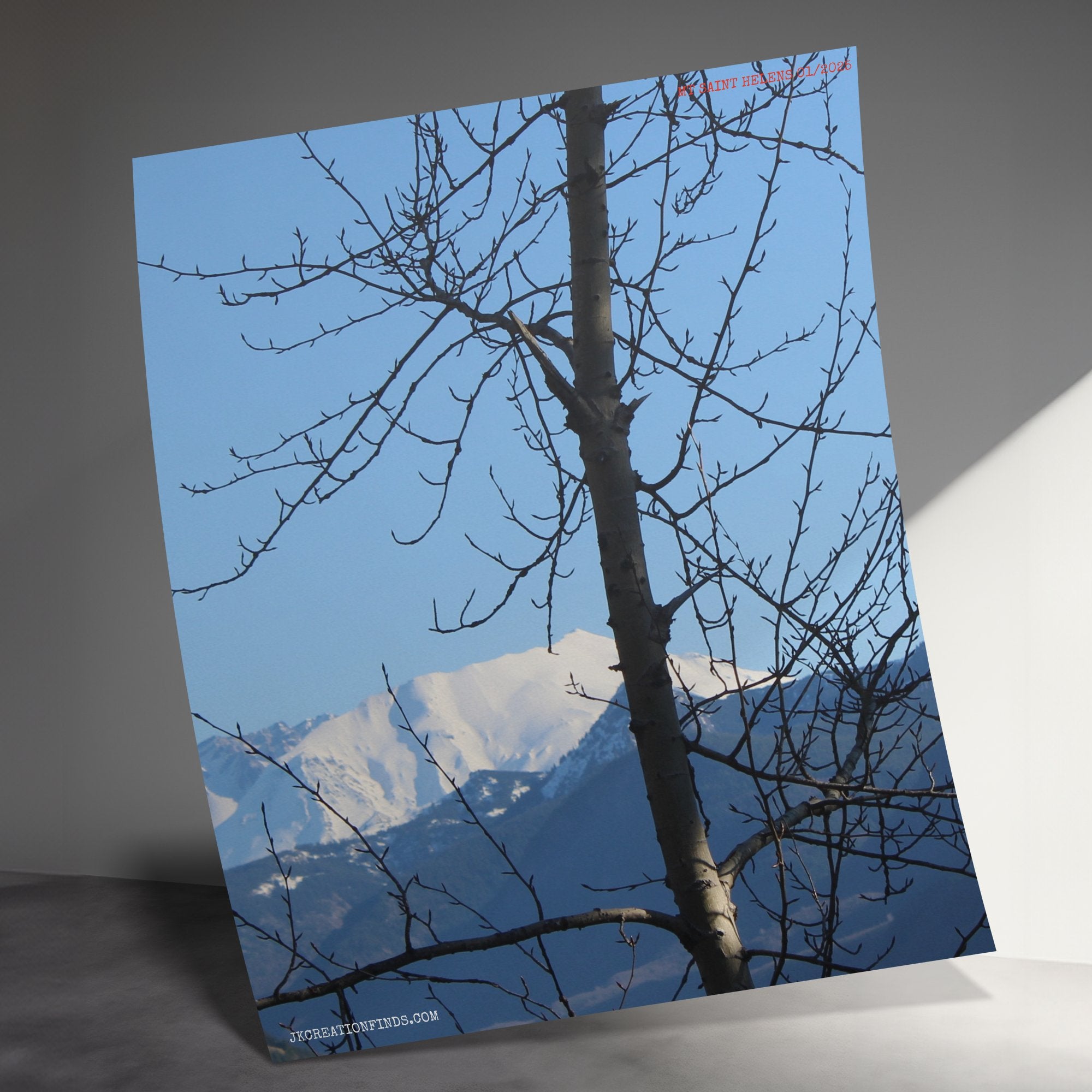 b2c3006e-b516-46fa-aaf4-01a07459d1fa