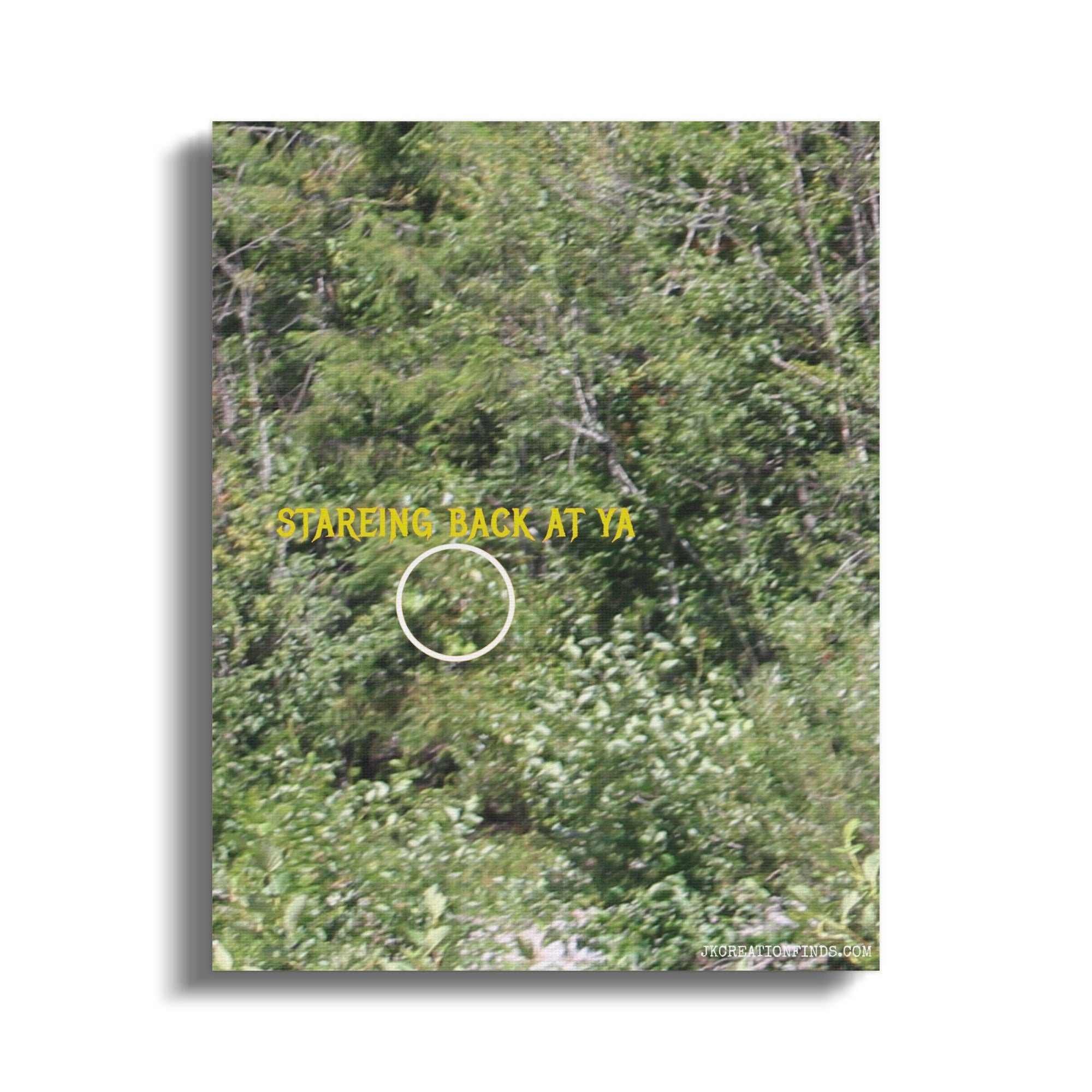 Staring Back At Ya Wildlife Photography Product