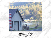 b3d35ecb-615e-4a00-a73b-29ce9ea9e895