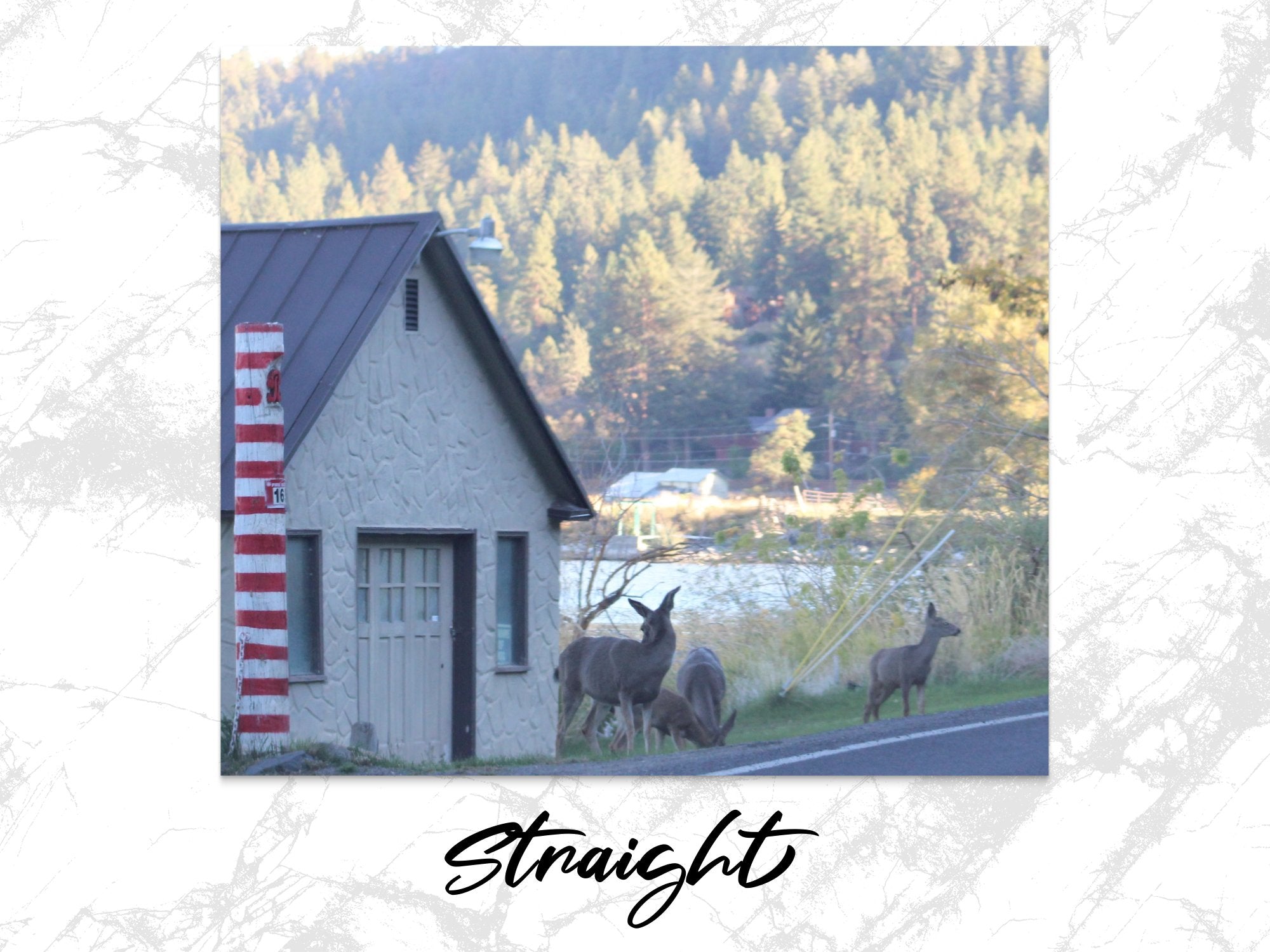 b3d35ecb-615e-4a00-a73b-29ce9ea9e895