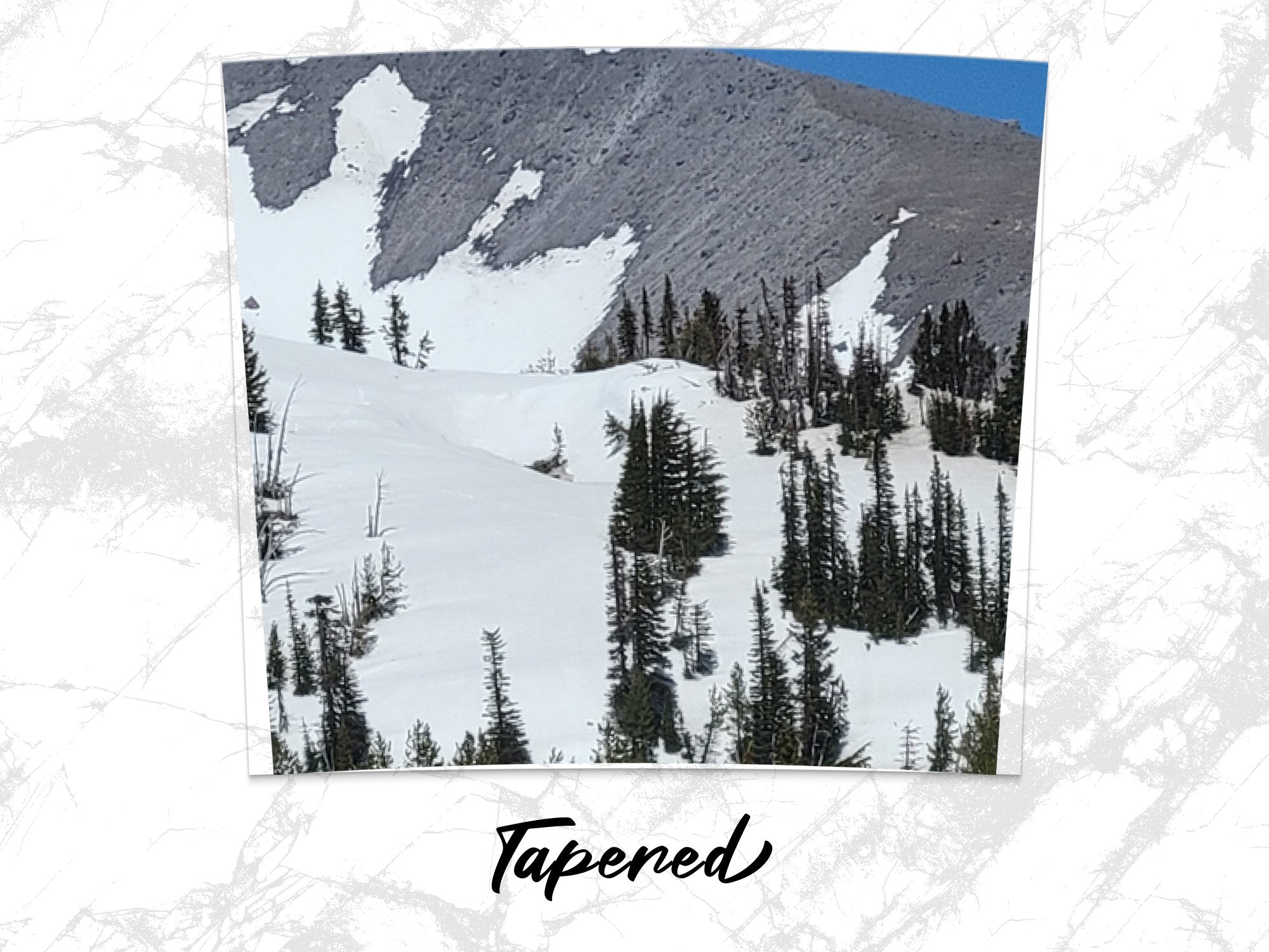 b45759eb-ba56-450e-99e4-f97074ea4058