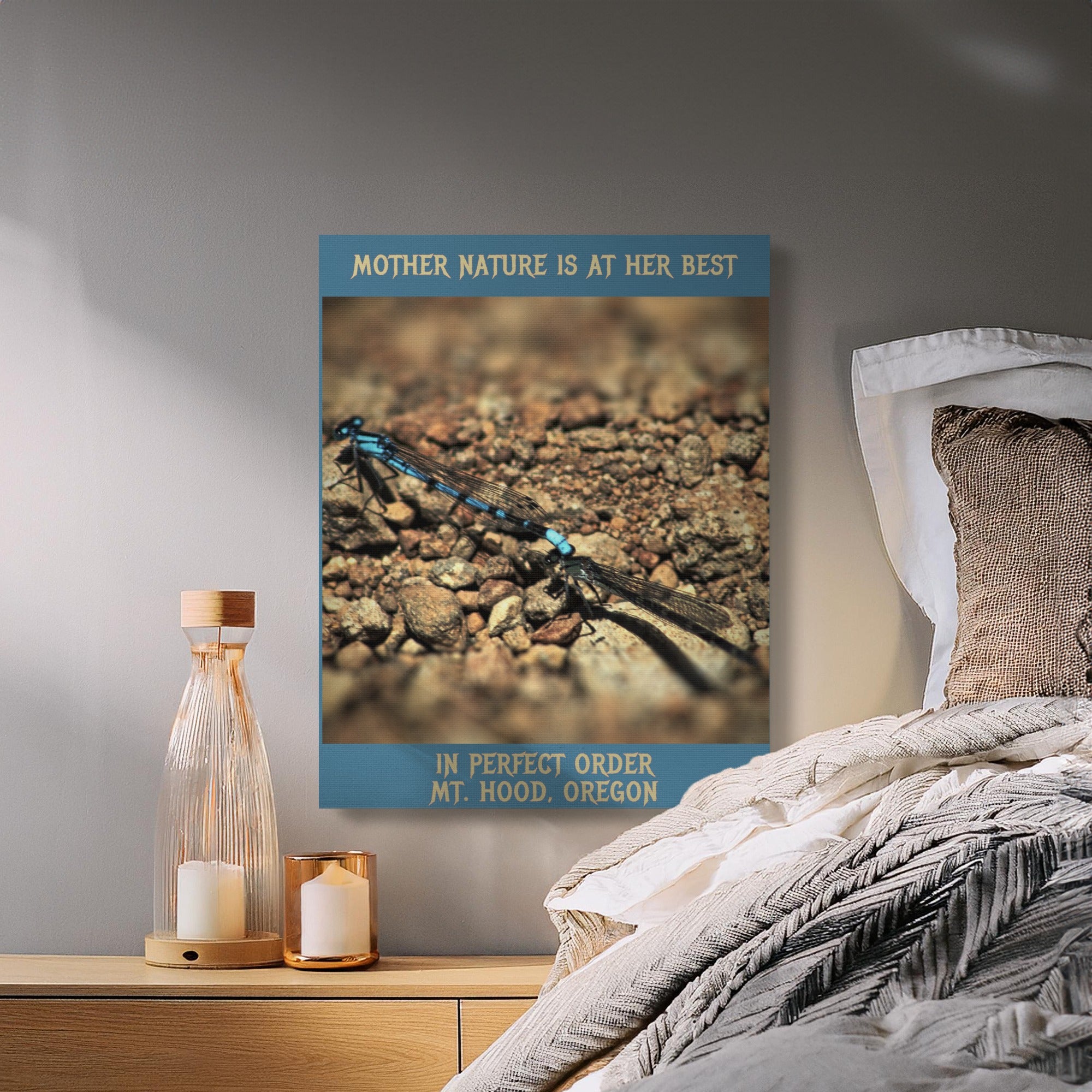 Mother Nature at Her Best Dragonfly Wall Art product
