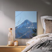 b4f55b5a-955e-42b5-83f1-6e3aae97f478