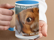 b4fdb441-3f83-4ecd-88b2-7840588bb356