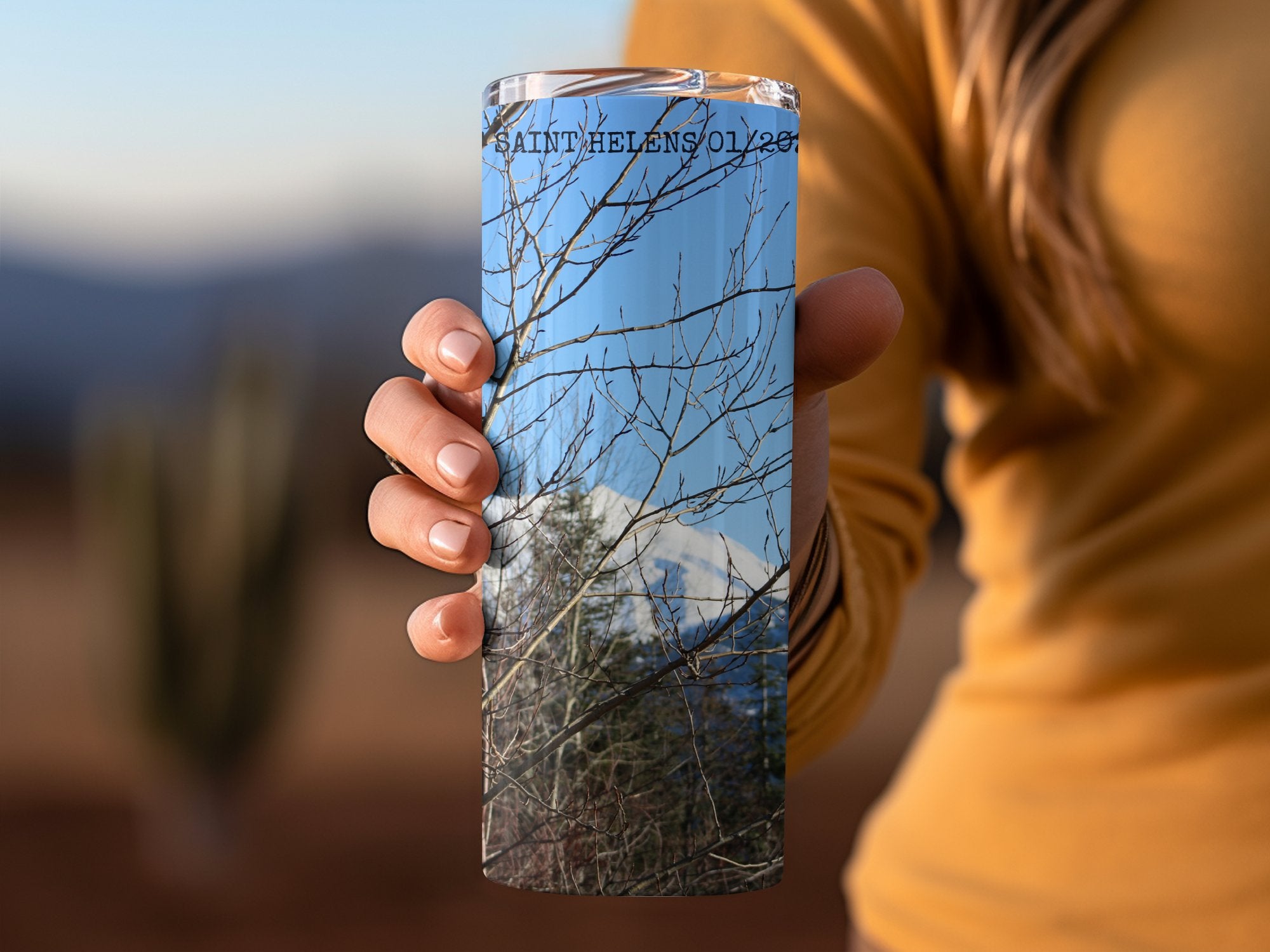 b509e0c9-ee7e-4462-904e-a64a0201fe3a