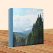 b52bf81b-36a1-4c38-a23e-64411b952133