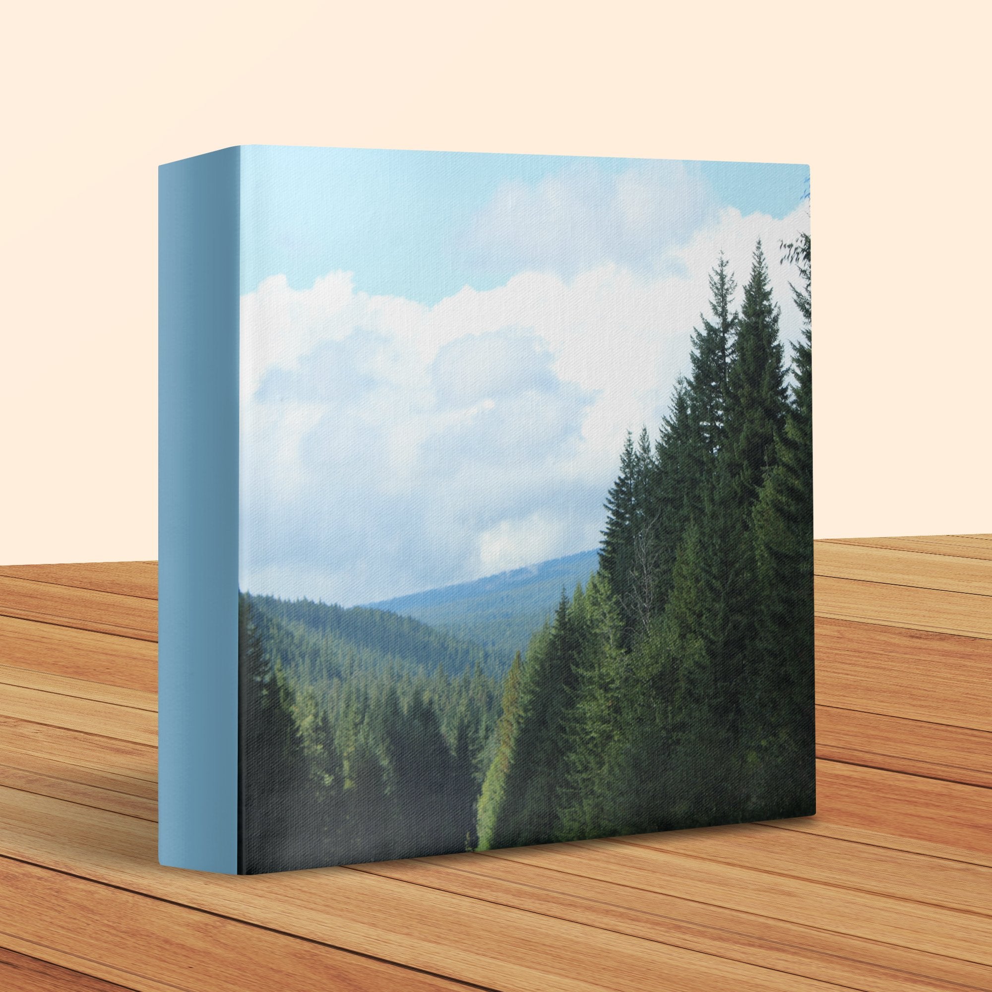 b52bf81b-36a1-4c38-a23e-64411b952133