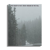 b58c44f7-316d-49fd-a970-32b3b3aadfd2