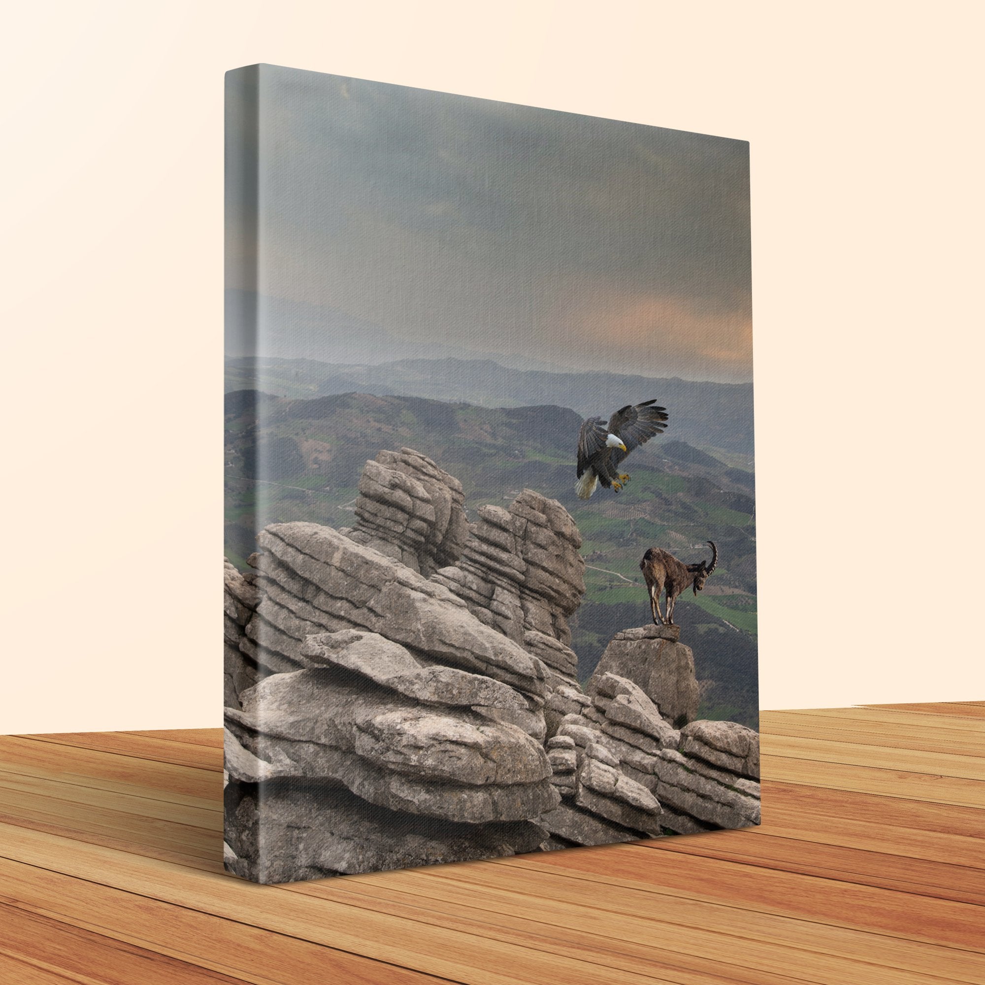 b5f0070b-2edd-46ff-942f-27903ecc841d