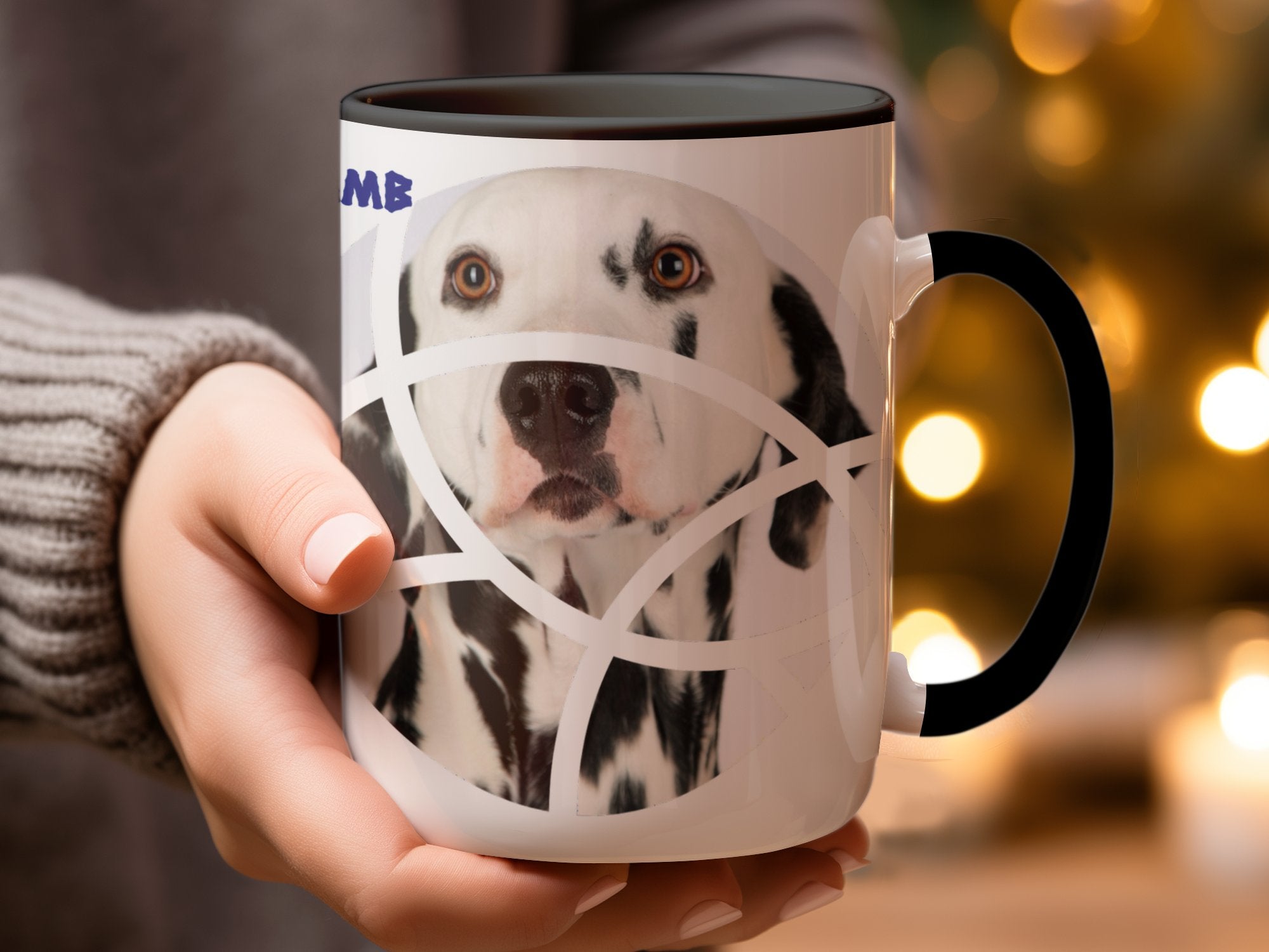 b64ca4e4-0494-4f7e-9e10-904e540c16a8