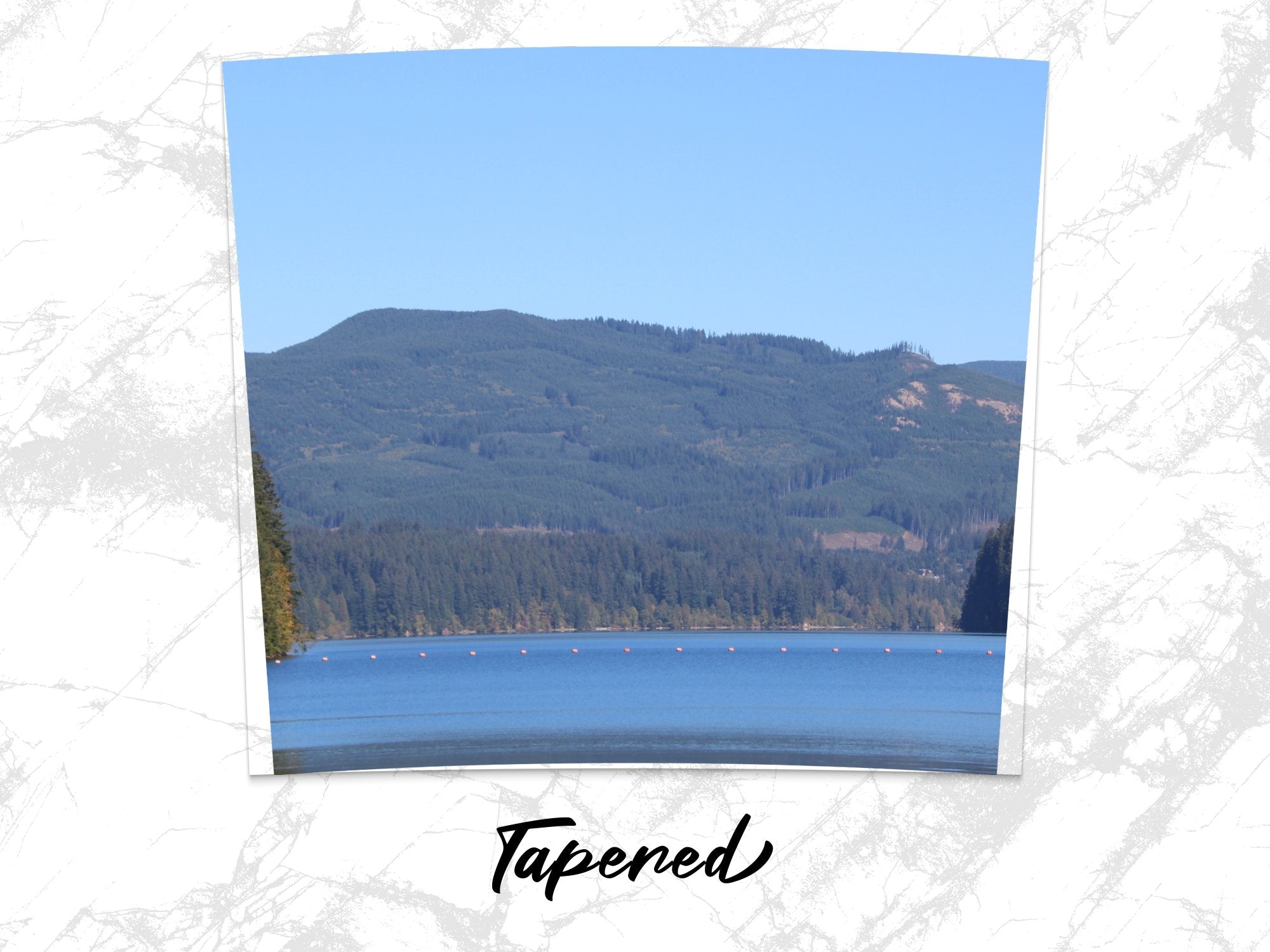 b65ed822-8479-4db4-a151-4d16534dd262