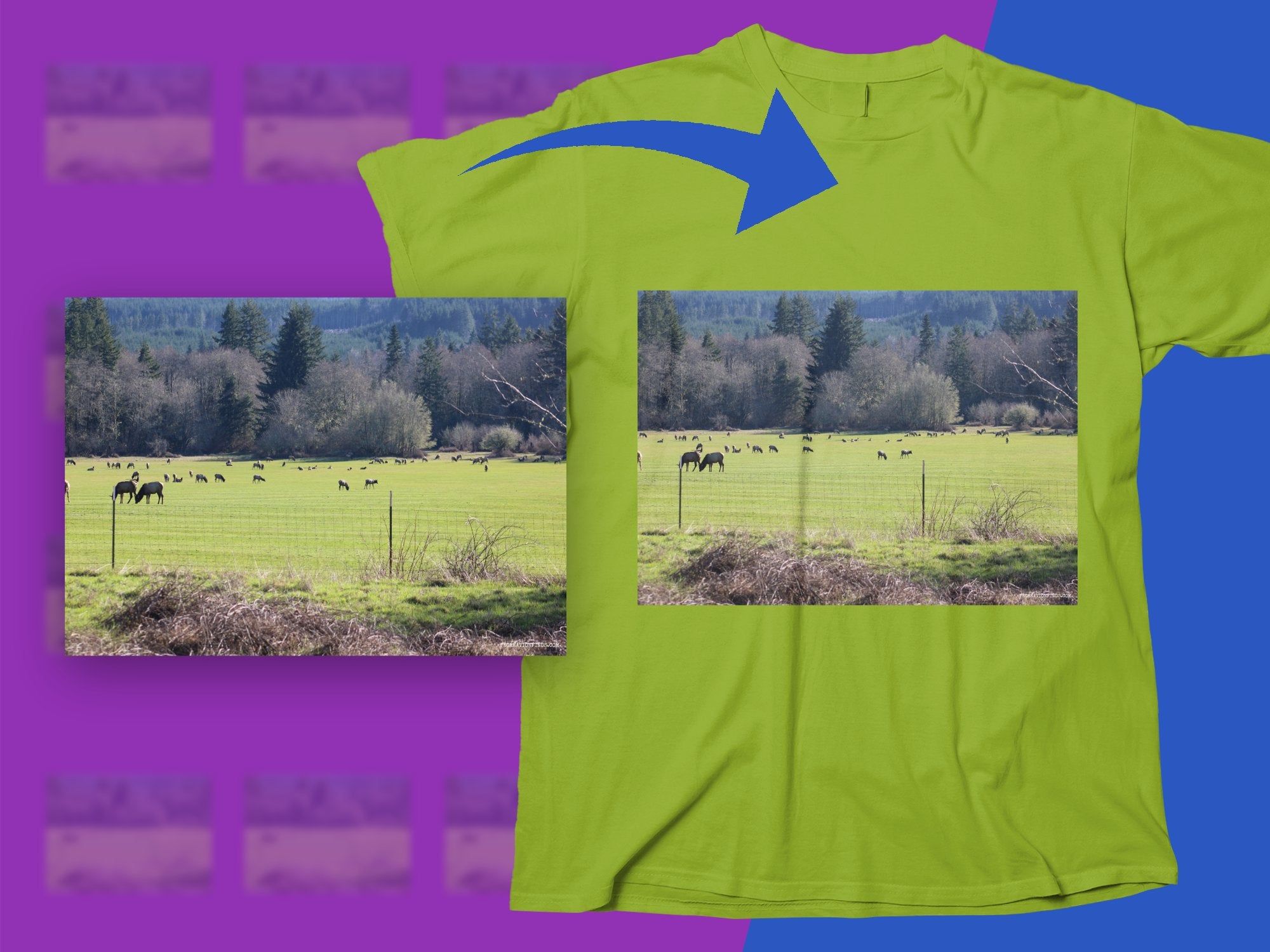 b827f1cd-1609-422e-921d-c6855b65fca5