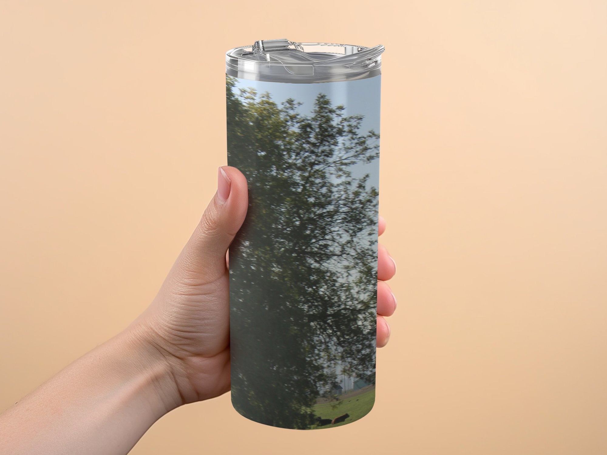 b8da3651-97b8-40e5-8312-0ba934f04ca1