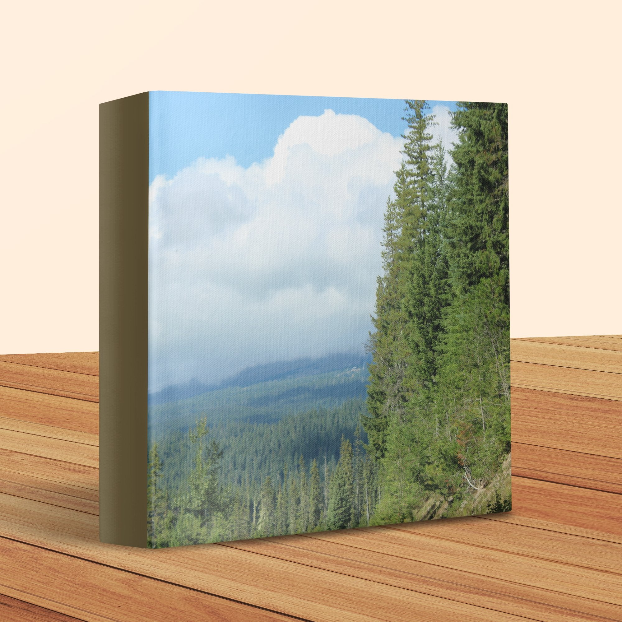 b90abee1-4c4c-4059-ab2e-951463daf596