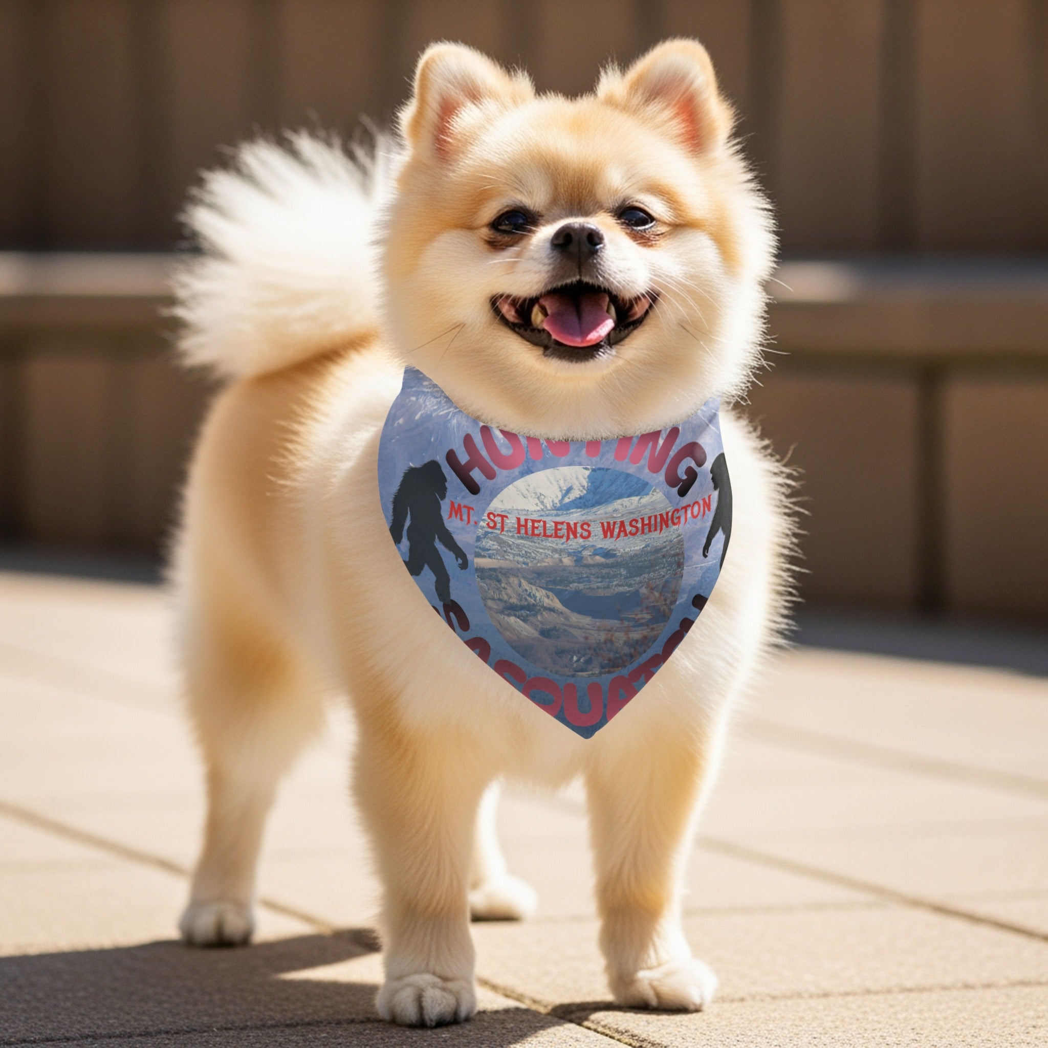 Mt St Helens Washington Hunting Souvenir Pet Bandana