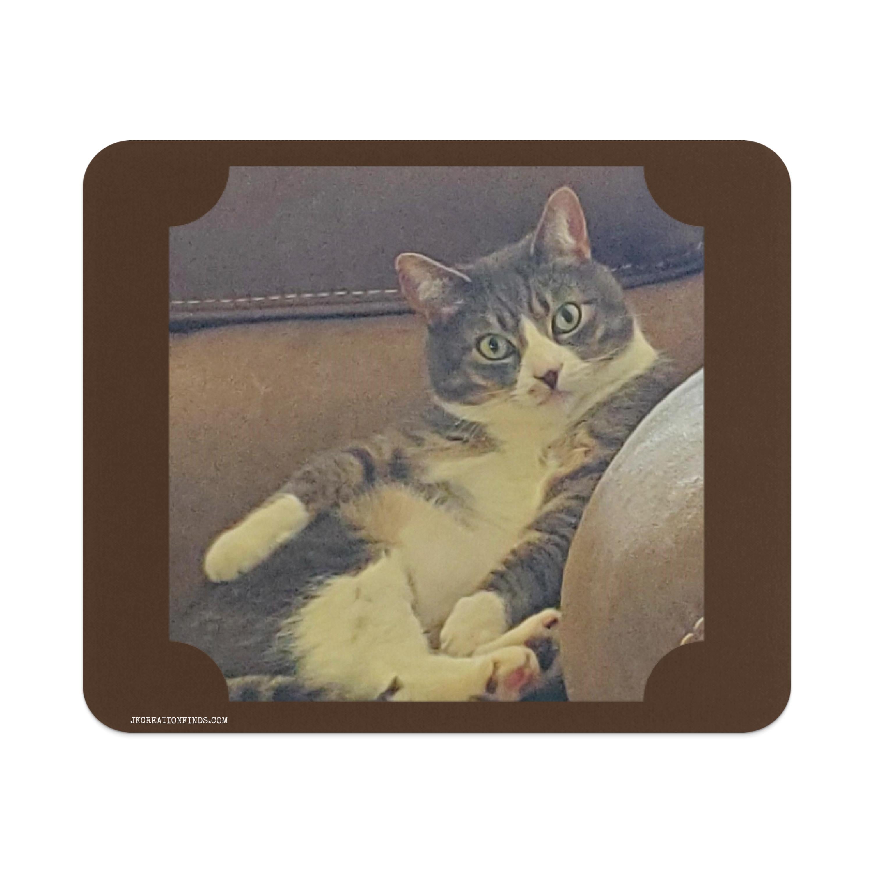 b9813bc7-6122-4dfc-9f28-e171e0a112e1