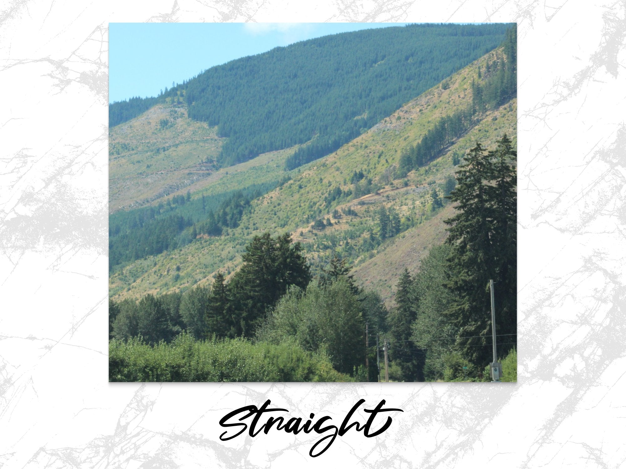 b984b468-28e9-4445-8fd9-d2c65badaef3