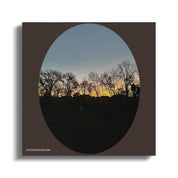 b9d65063-76b2-4c6a-b411-d8bfed9f6698