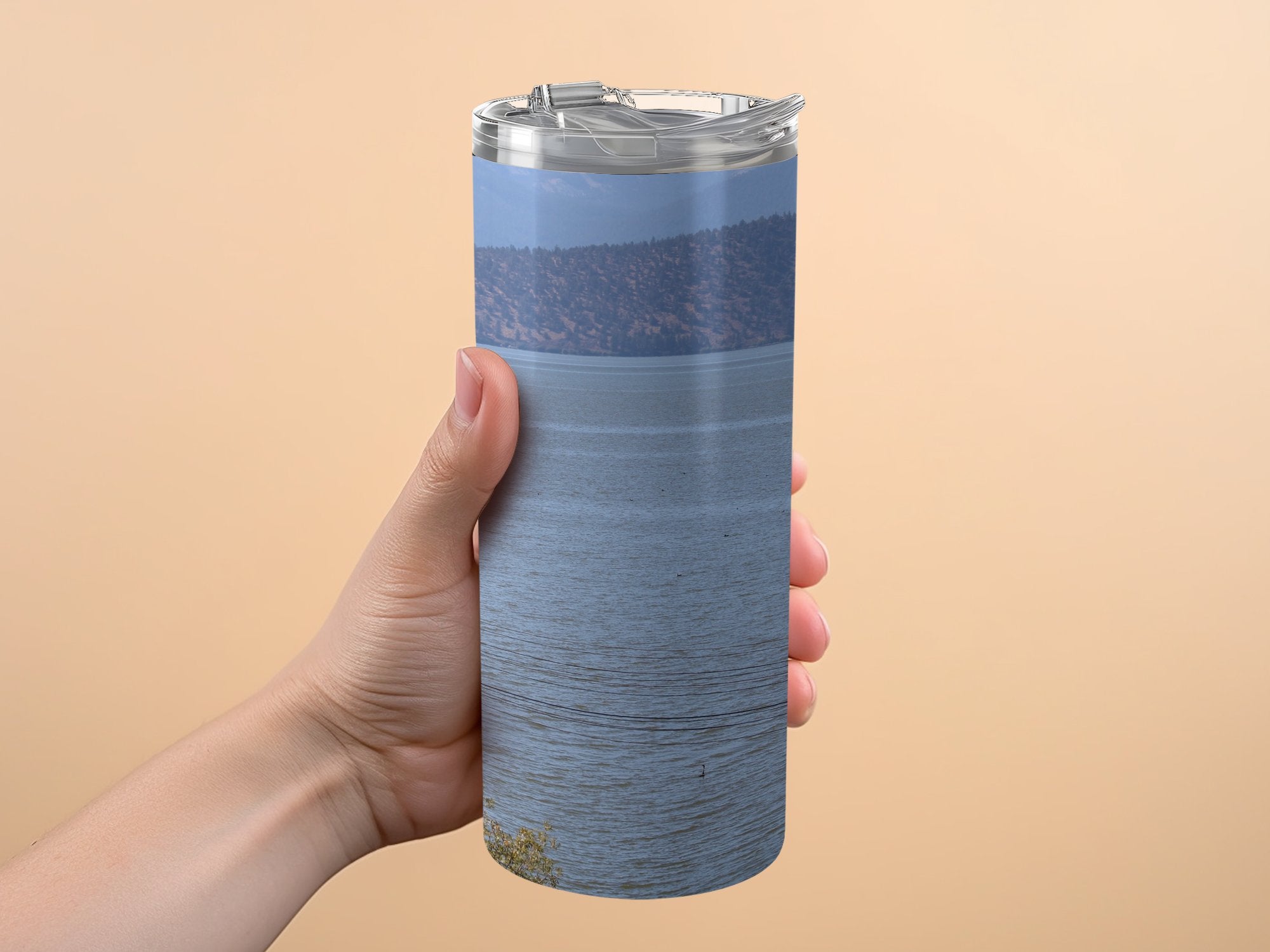 ba70759d-ea21-45d4-9ec0-17c03ff2c352