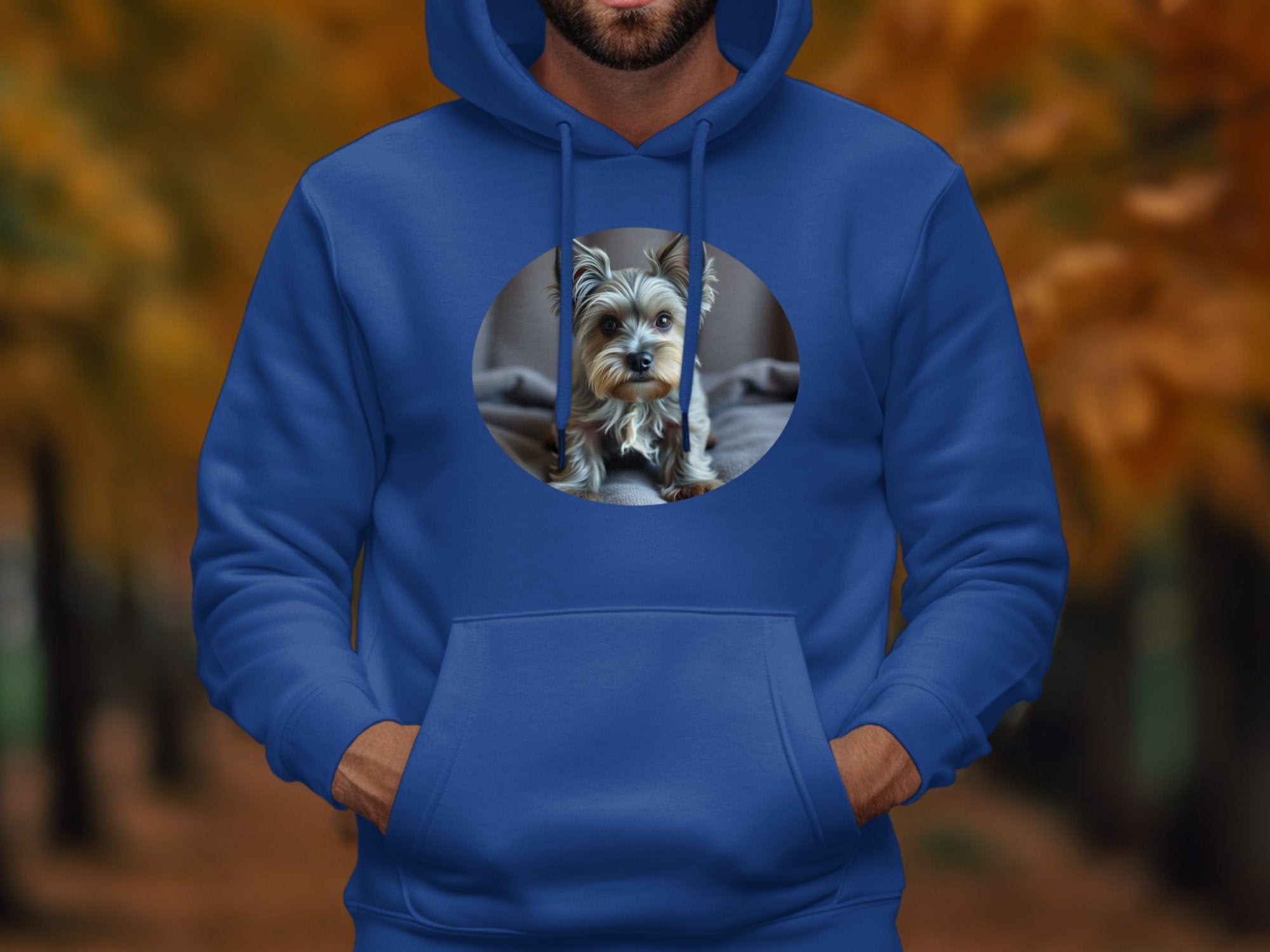 ba86017f-caed-4998-af2a-6f6e0e9dcf43