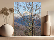 ba8946ab-9766-4a7a-ac89-83fe19ed370c