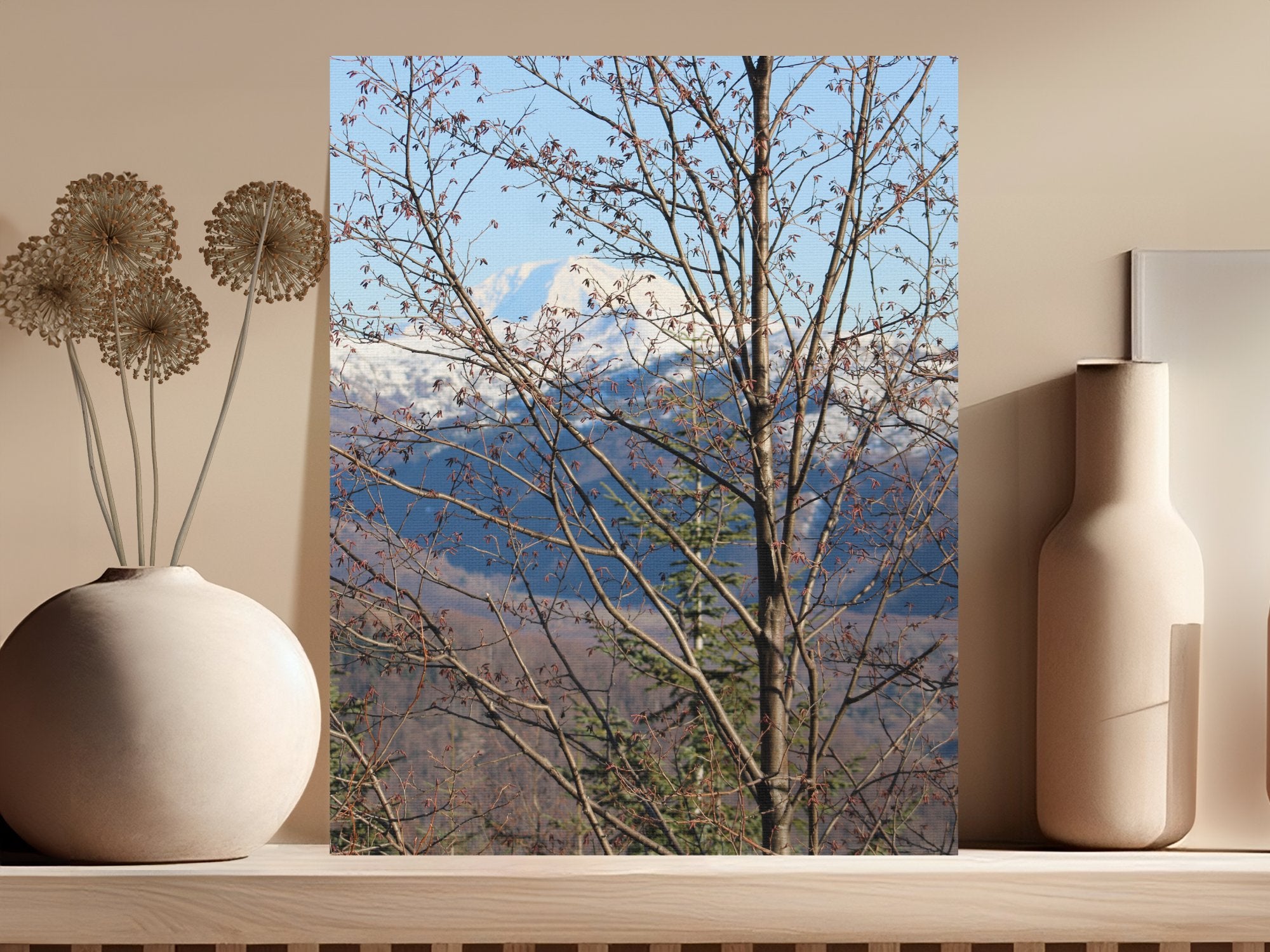 ba8946ab-9766-4a7a-ac89-83fe19ed370c