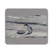 bae78b00-99d7-4a85-a6a8-304843dbf44f