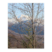 bb55fb69-d78c-43ac-b1ea-49e6a672db2b