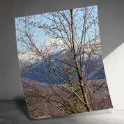 bf85af1b-2e4c-43e8-bdc4-27c0beb01cb4