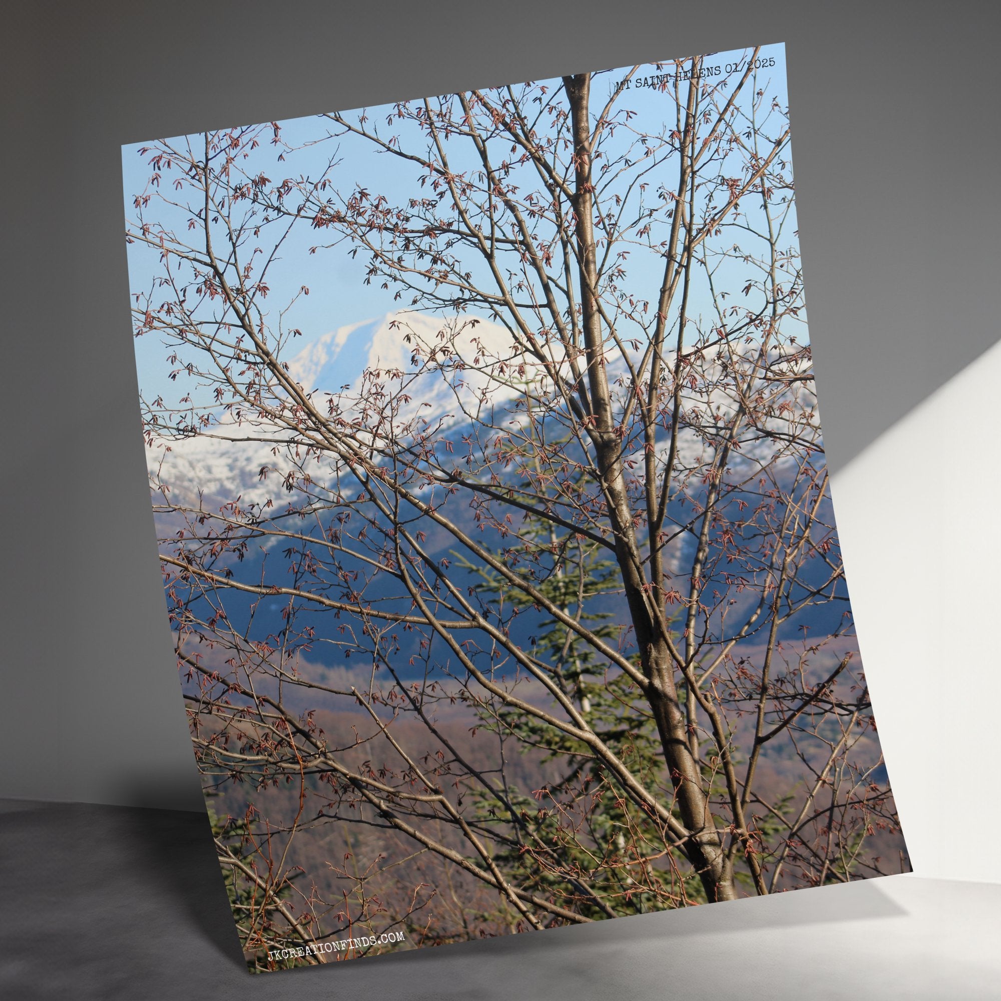 bf85af1b-2e4c-43e8-bdc4-27c0beb01cb4