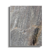 bf89c027-117a-4586-9985-327a1551501a