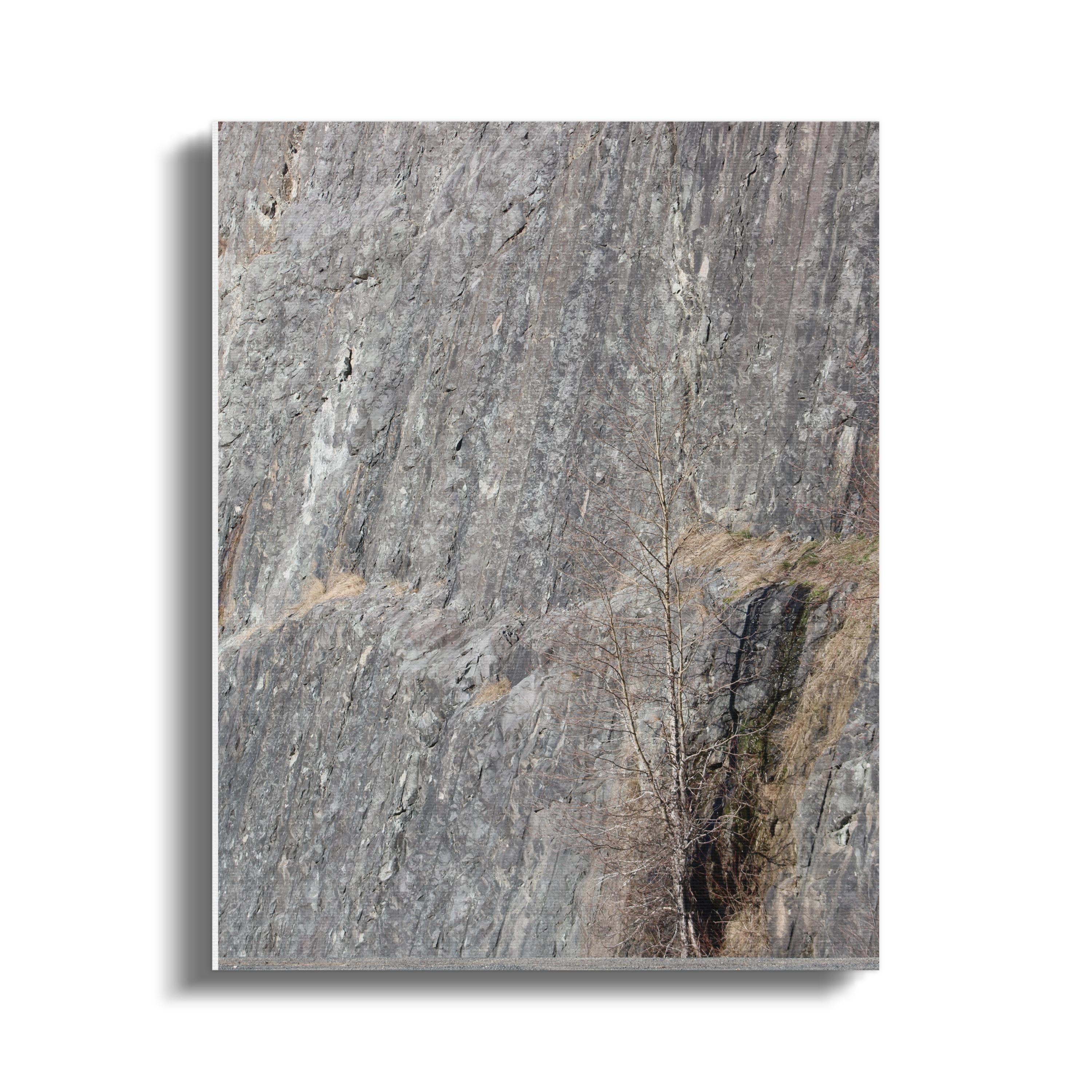 bf89c027-117a-4586-9985-327a1551501a