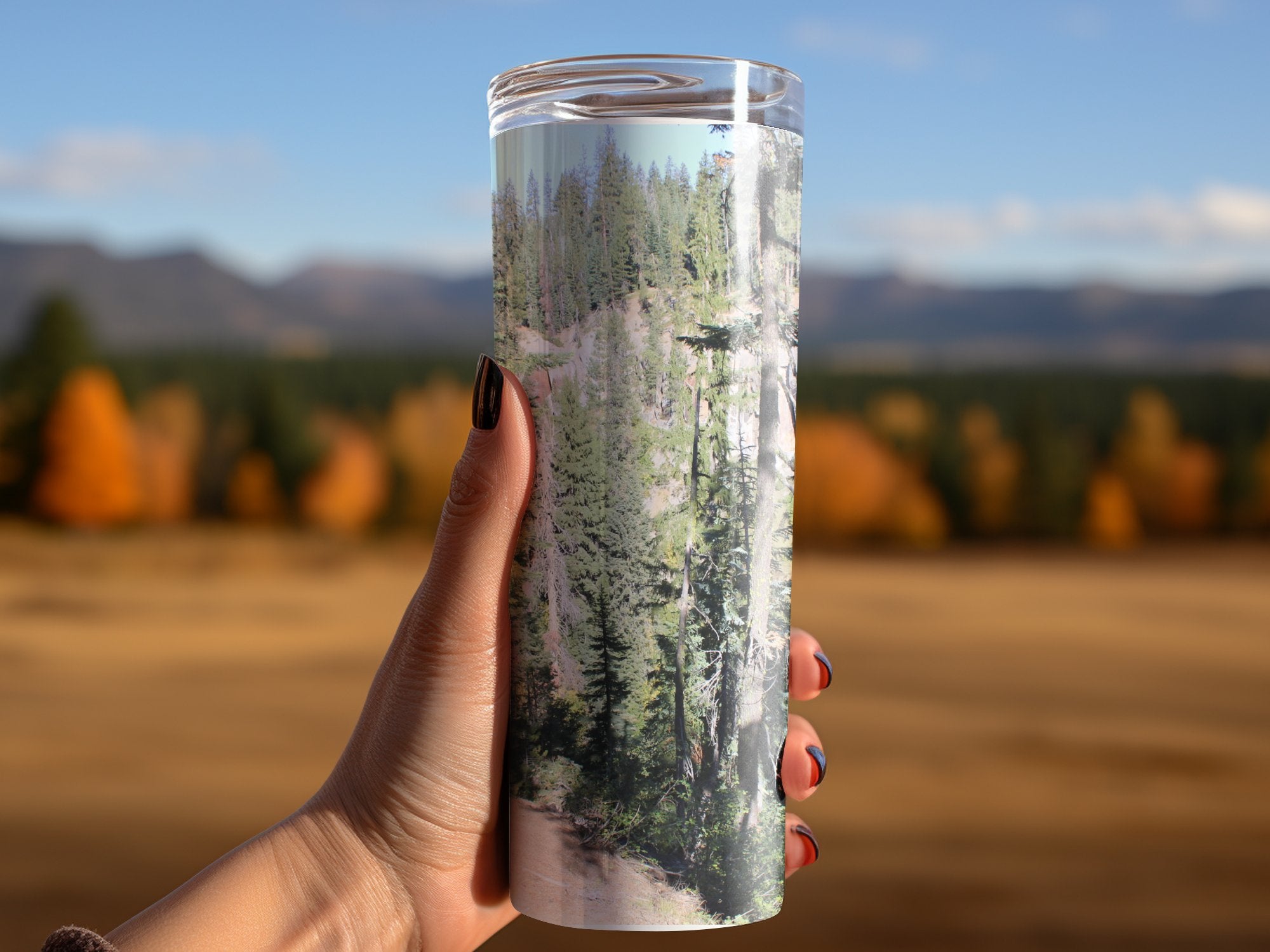 bfc91d7f-4b71-4cca-96dd-7b5f655e5778