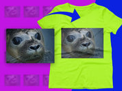 c00fdbe3-6e3e-430d-afa5-98ff738768dc