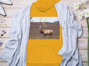 c0564e81-77d7-40f6-b0d2-b2b6bf86f16e