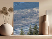 c0a2048a-1137-47b5-a323-aa3ea45b07a3