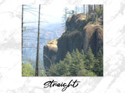 c0d343dc-f051-4bf9-baea-154a3d3cf945