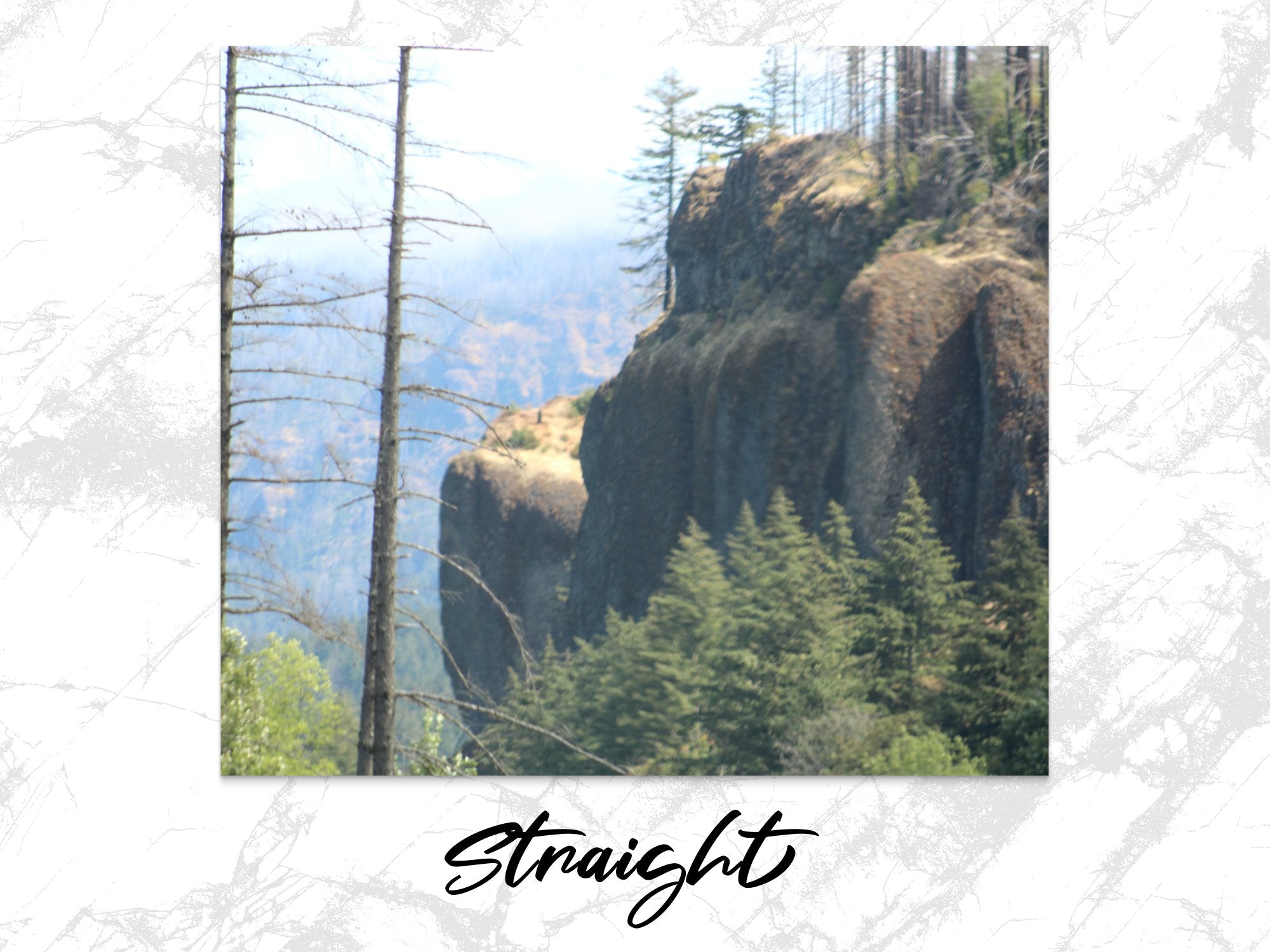 c0d343dc-f051-4bf9-baea-154a3d3cf945