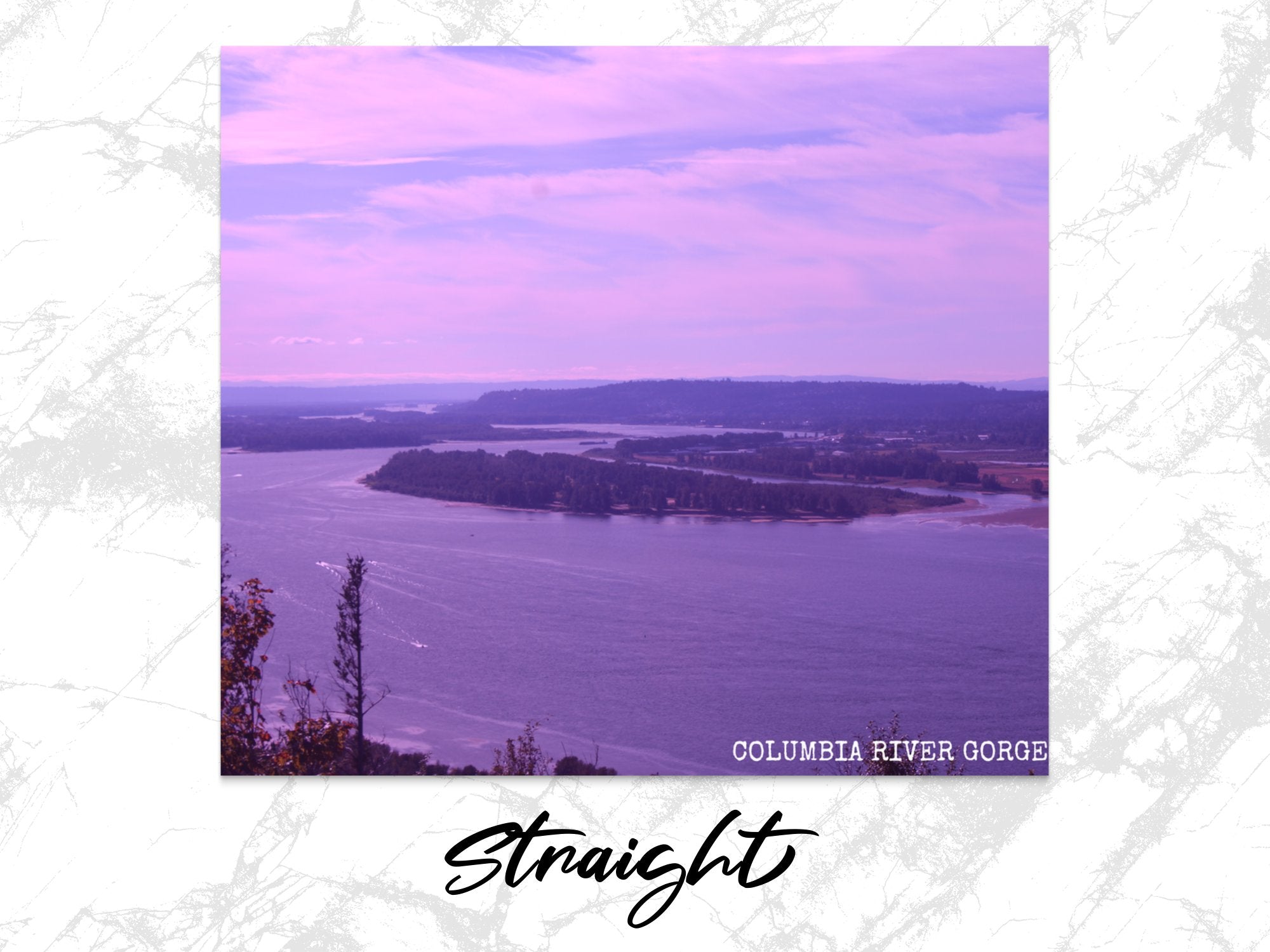 c13753c3-888a-4a39-ad76-2d8e74a29fd2