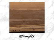 c1e217de-8caf-40ed-b24d-42443307b982