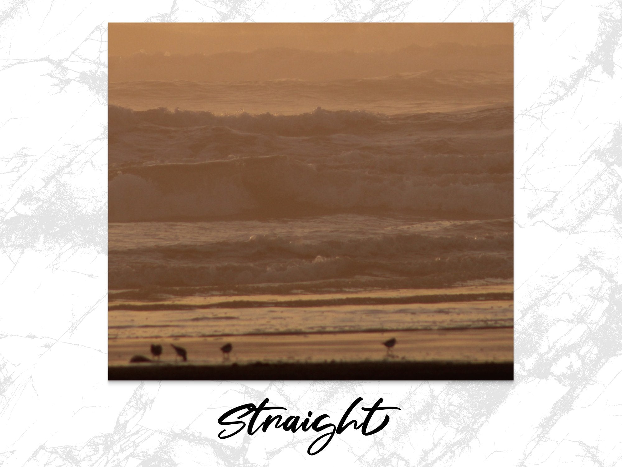 c1e217de-8caf-40ed-b24d-42443307b982