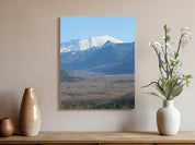 c2156b03-40b9-43a1-8ed0-685c18691736