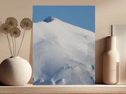 c2de0459-7d03-4e1d-9e07-1a50464ccf5a