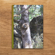 c2fa6c6b-fdfd-4f88-abb0-e8897abcfa9d