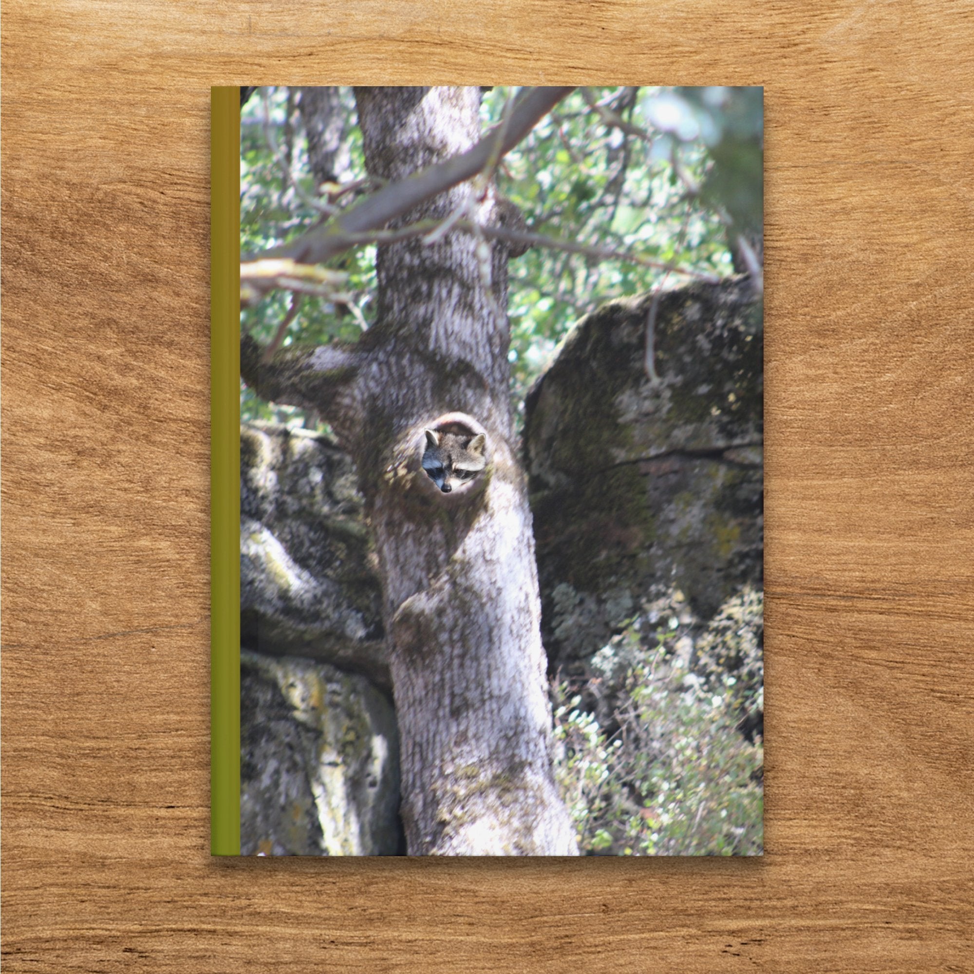 c2fa6c6b-fdfd-4f88-abb0-e8897abcfa9d