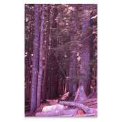 c38763b7-0206-42df-99a9-40defedd8243