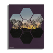 c3a8442f-61ab-4e5c-9c21-9742df38cb4e